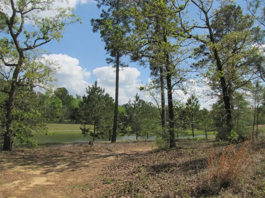 6919 Texas Trace, Montgomery, TX 77316 - #3