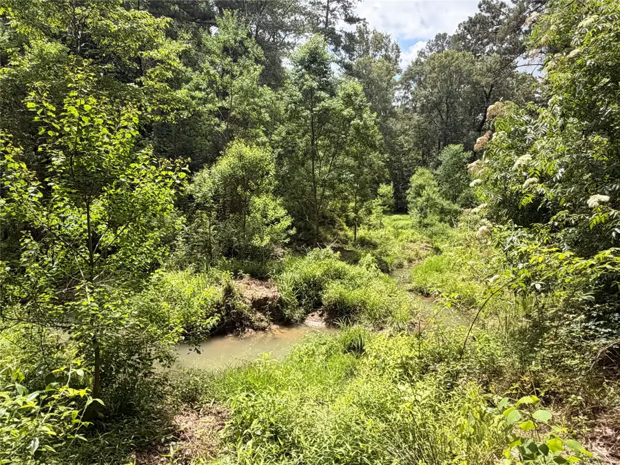 962 Fm 256 E, Woodville, TX 75979 - #3