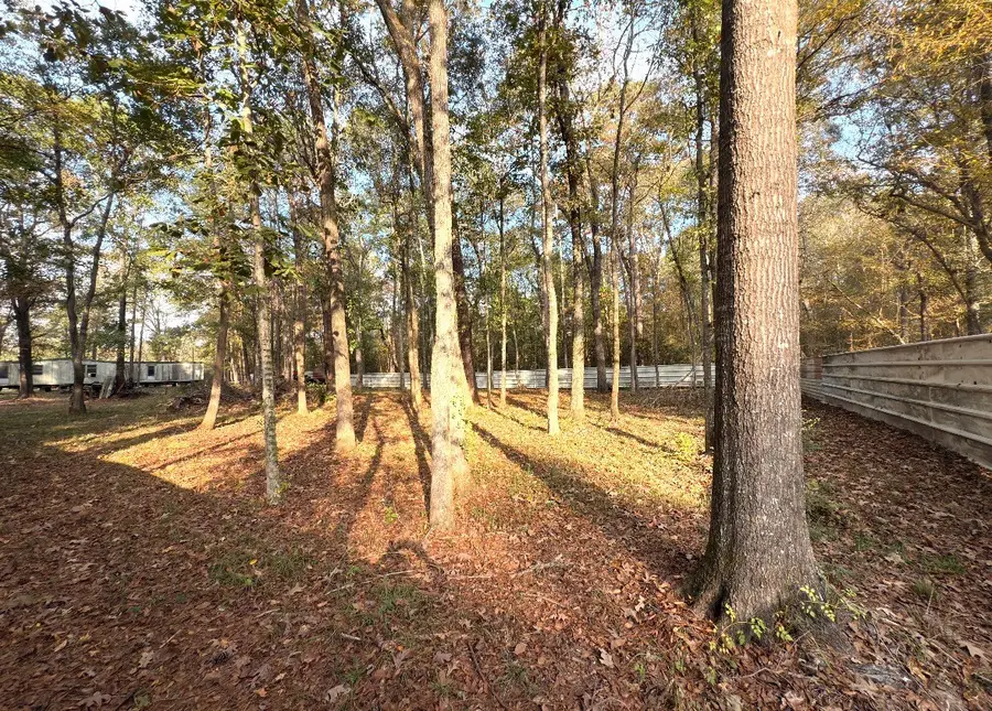 256 County Road 2146, Cleveland, TX 77327 - Image #3