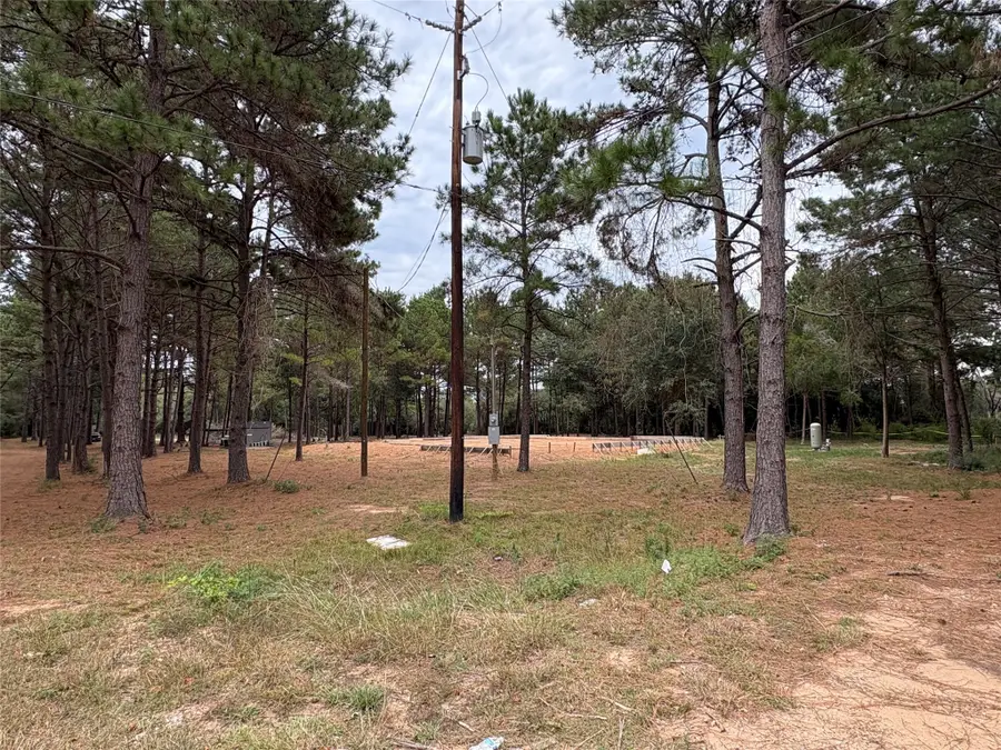 19602 Fisher Drive, Tomball, TX 77377 - Image #2