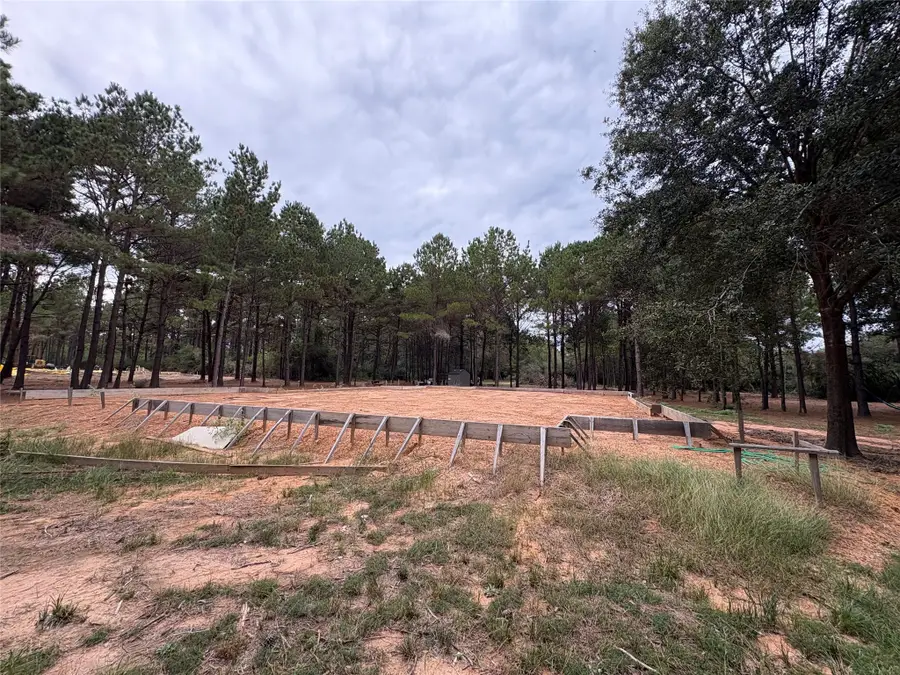 19602 Fisher Drive, Tomball, TX 77377 - Image #3