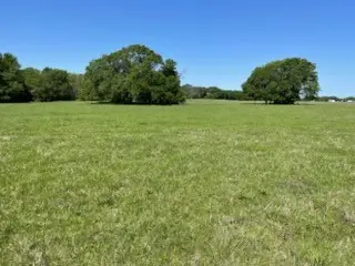 #3