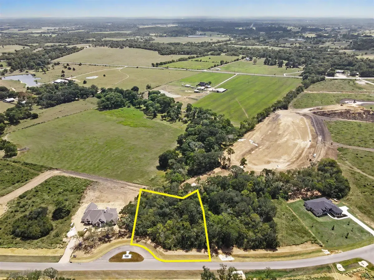 9734 Lakeside Oaks Drive Drive, Plantersville, TX 77363 - #1