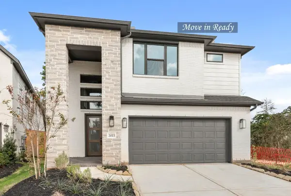 26513 Skylight Brook Court, Montgomery, TX 77316