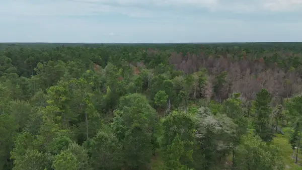 0 Tom Marsh Road, Livingston, TX 77351