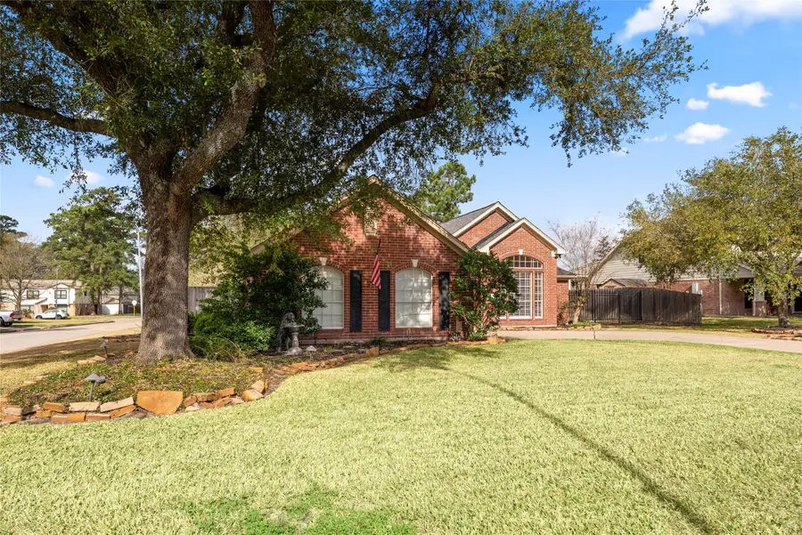 25203 Burgh Castle Drive, Spring, TX 77389 - #2