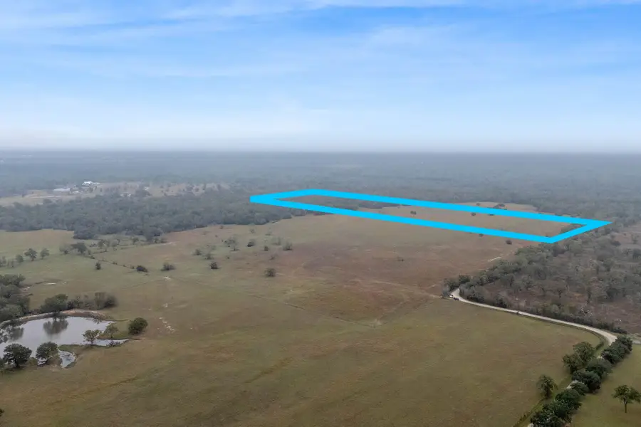 CR 123 - Tract 2, Bedias, TX 77831 - Image #3