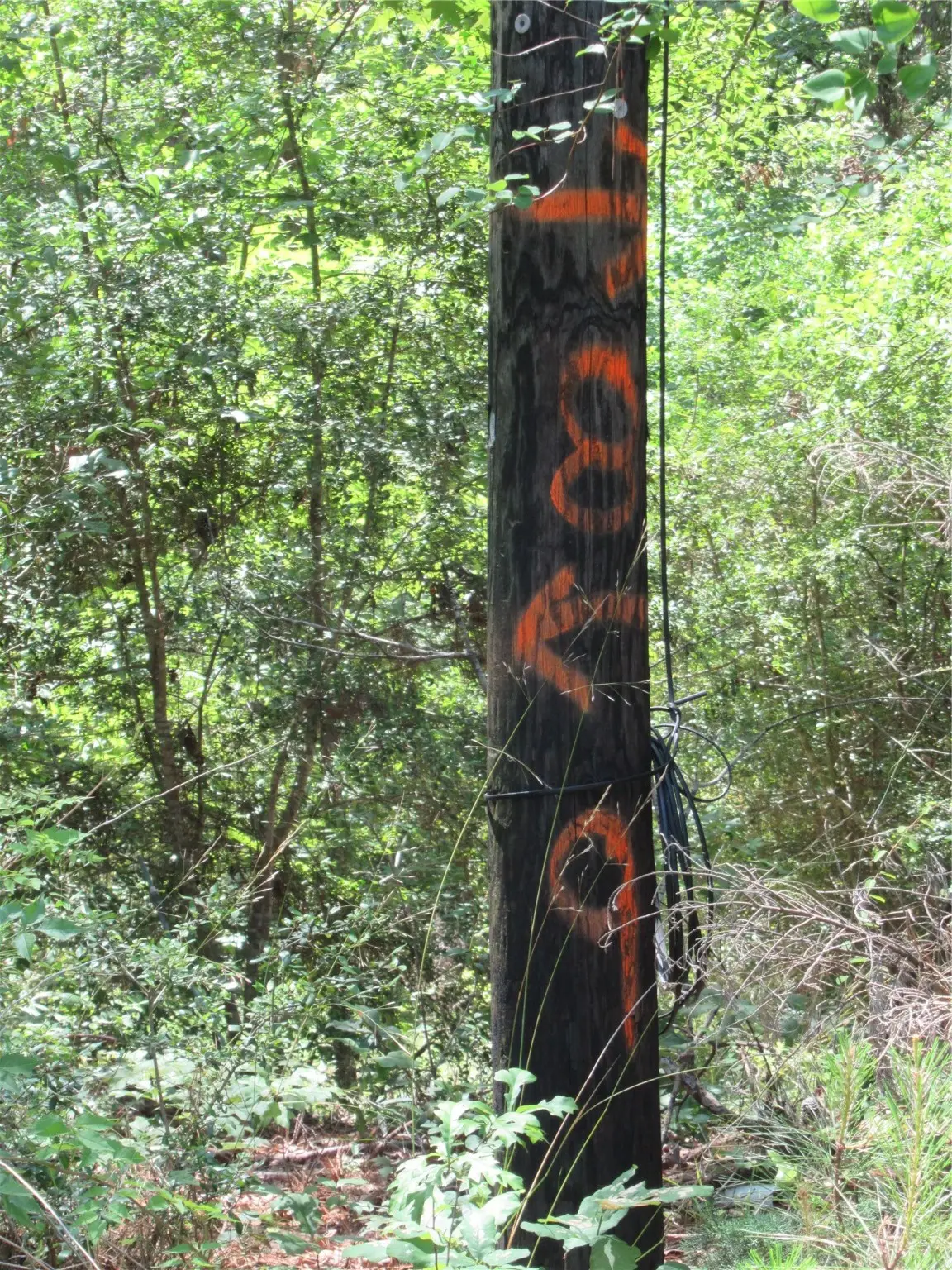 337 Noel, Livingston, TX 77351 - Image #1