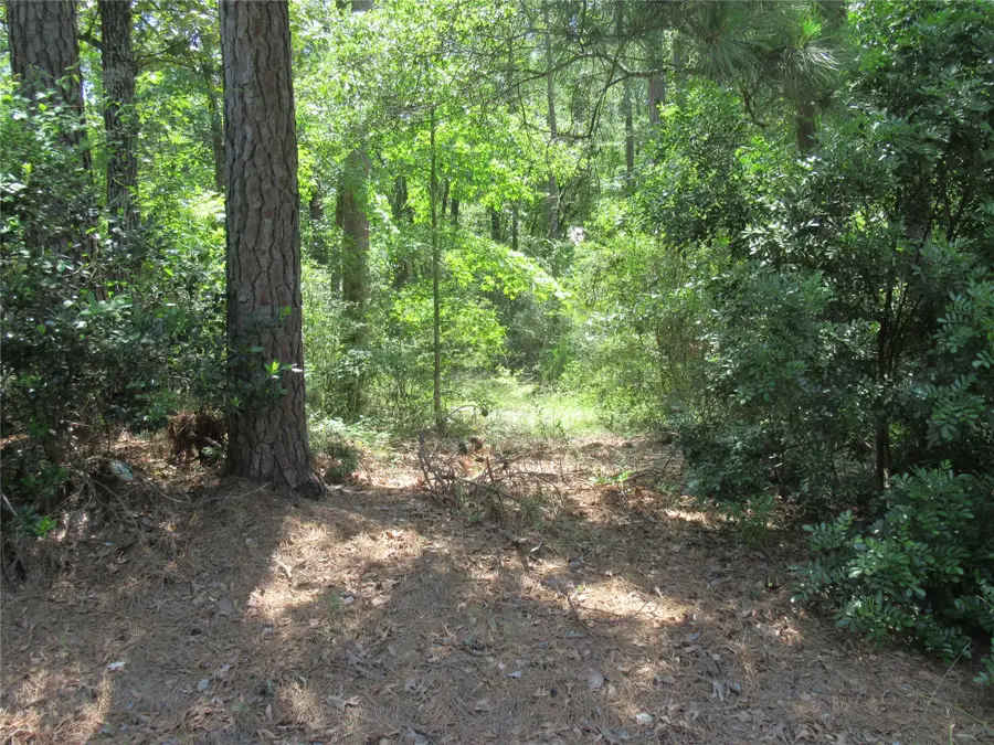 337 Noel, Livingston, TX 77351 - Image #2