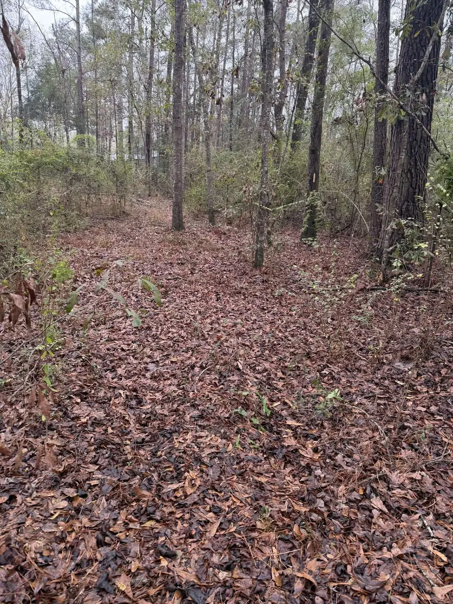 0 County Road 451, Kirbyville, TX 75956 - #2