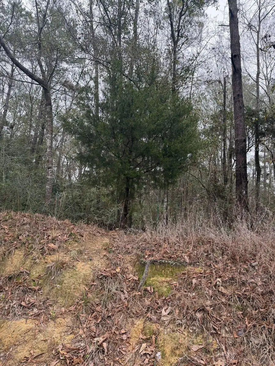 0 County Road 451, Kirbyville, TX 75956 - #3