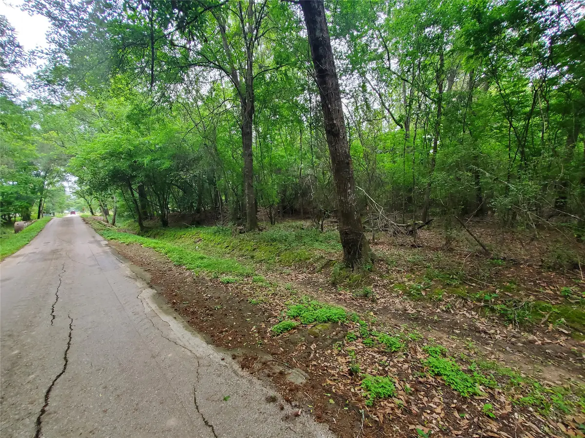 246 Countyroad 3990, Cleveland, TX 77328 - #1