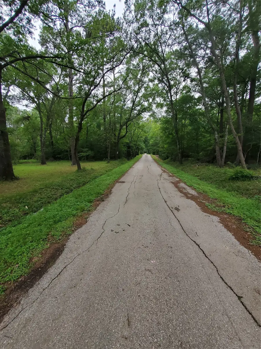 246 Countyroad 3990, Cleveland, TX 77328 - #3