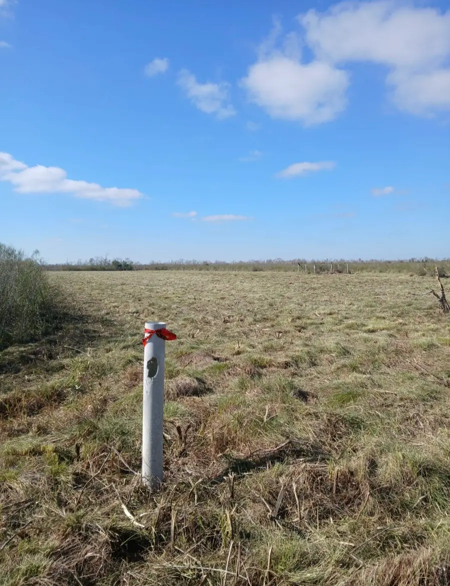 807 County Road 807, Angleton, TX 77515 - #2