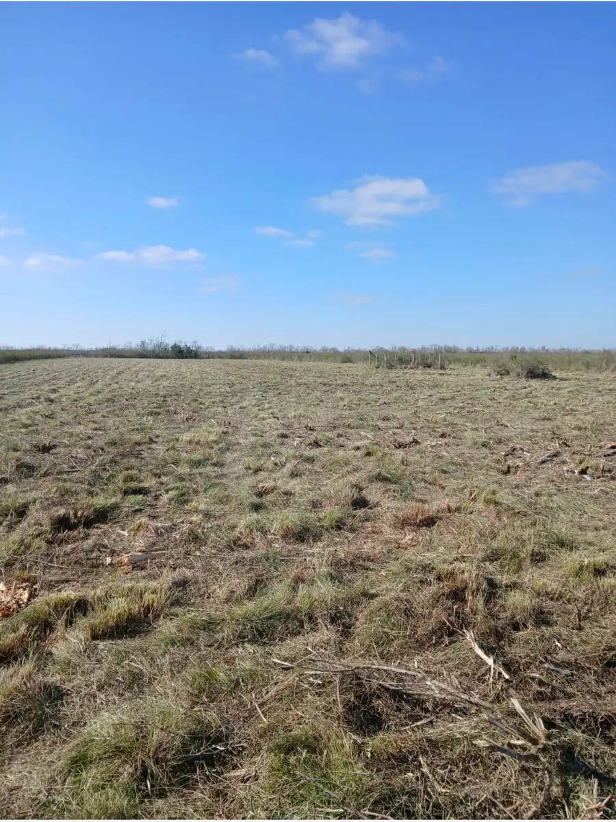 807 County Road 807, Angleton, TX 77515 - #3