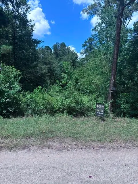 30651 S Walnut Creek Drive, Waller, TX 77484 - #2