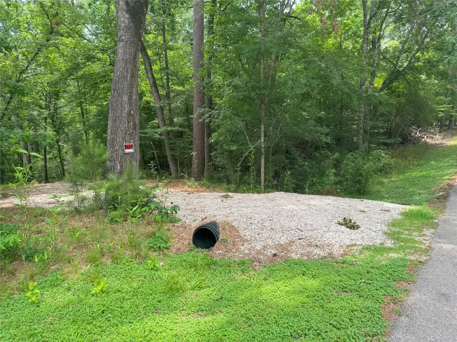 77 S Pine Harbour Drive, Coldspring, TX 77331 - Image #3