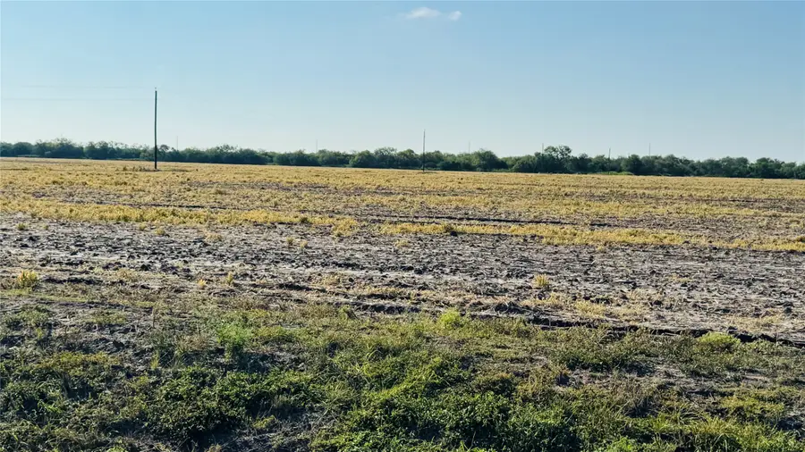 Lot 5/6 County Road 798, Sinton, TX 78387 - #3