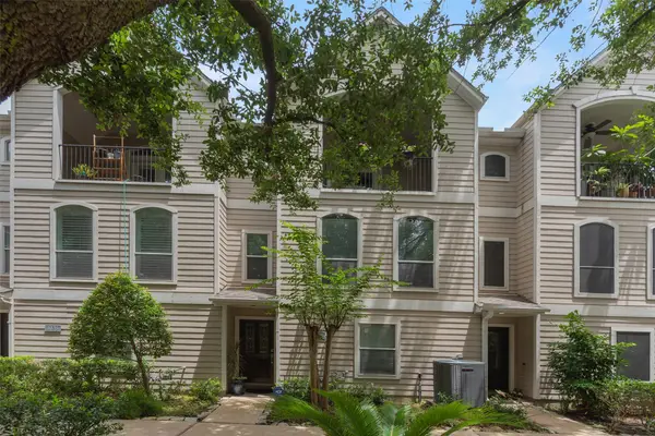 1028 La Rue Street, Houston, TX 77019