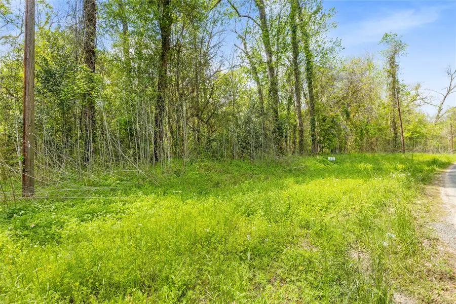 TBD County Road 2859 Phantom Drive, Cleveland, TX 77327 - #3