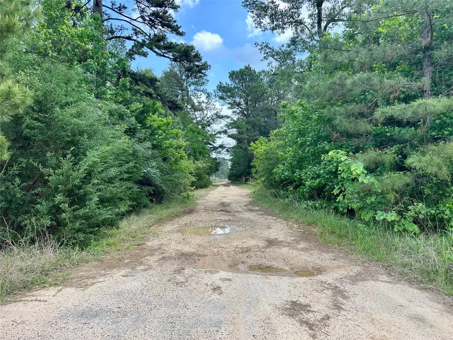 146 State Highway 146 S, Livingston, TX 77351 - #3