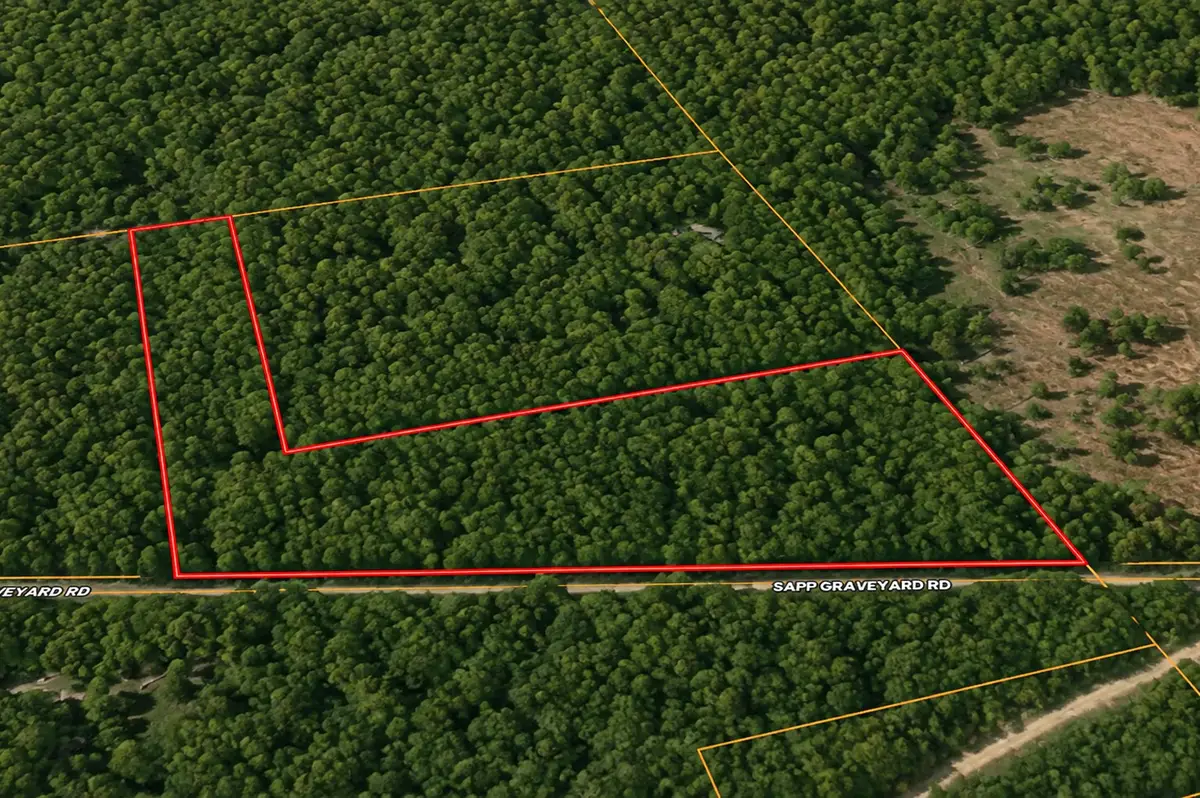 6350 Sapp Graveyard Road, Kountze, TX 77625 - #1