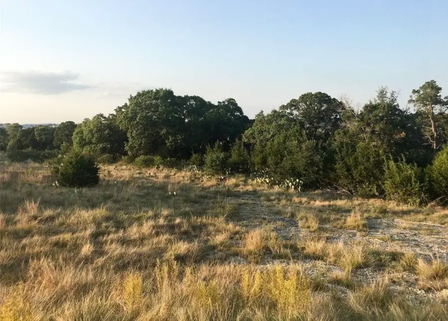 113 Enigma Avenue, Spring Branch, TX 78070 - #3