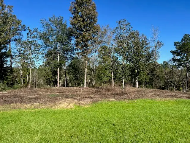 TBD LOT 26 Addison Rd, Livingston, TX 77351 - #1