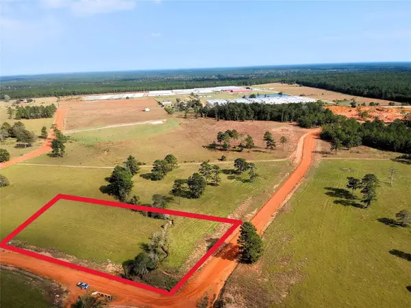 Lot 87 Lakeland Loop, Hillister, TX 77624