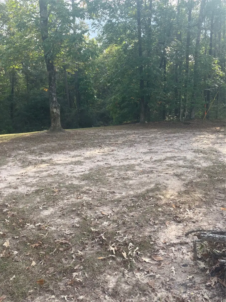 2530 Fairdale Rd, Hemphill, TX 75948 - Image #3