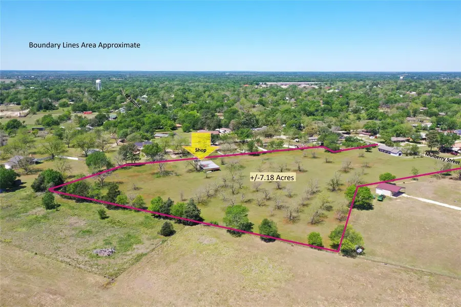 1412 Mulberry Street Avenue, Teague, TX 75860 - #3
