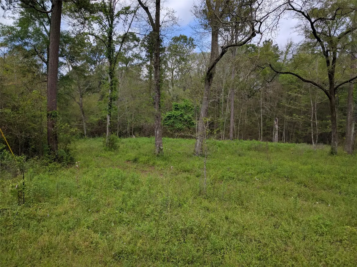 50G Jock Street, Livingston, TX 77351 - Image #1