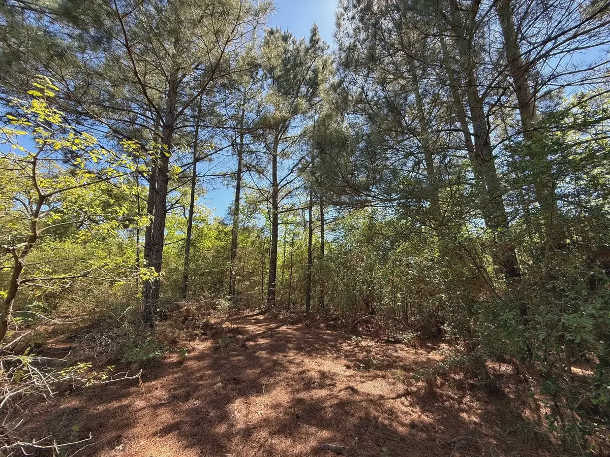 10 ac Cr 2926, Buffalo, TX 75831 - #1