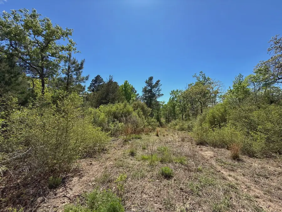 10 ac Cr 2926, Buffalo, TX 75831 - #2