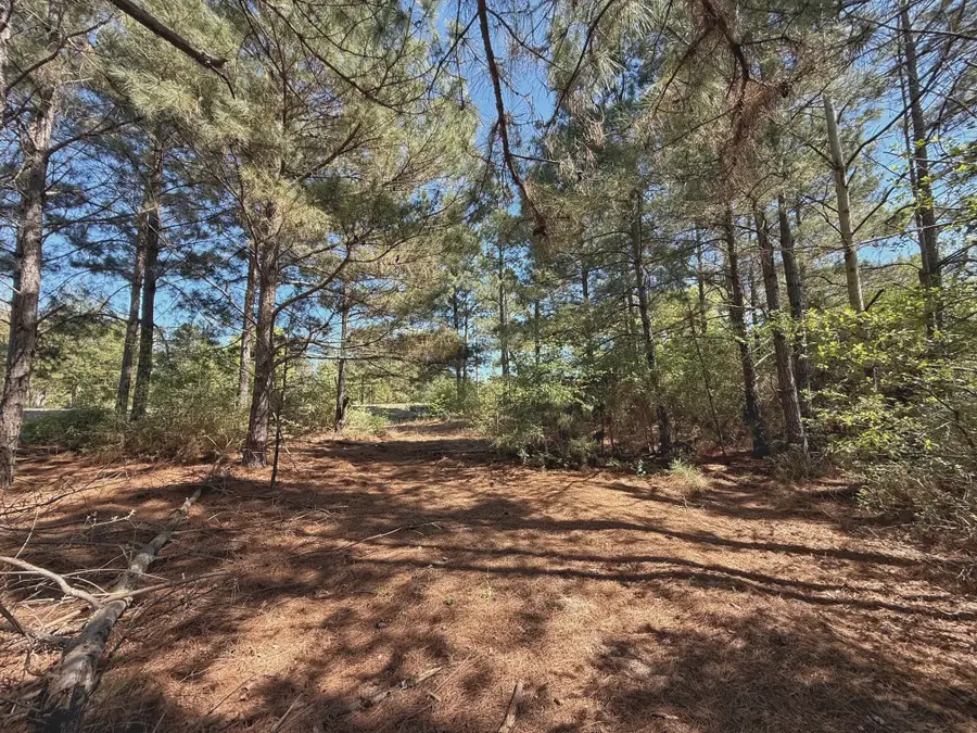 10 ac Cr 2926, Buffalo, TX 75831 - #3