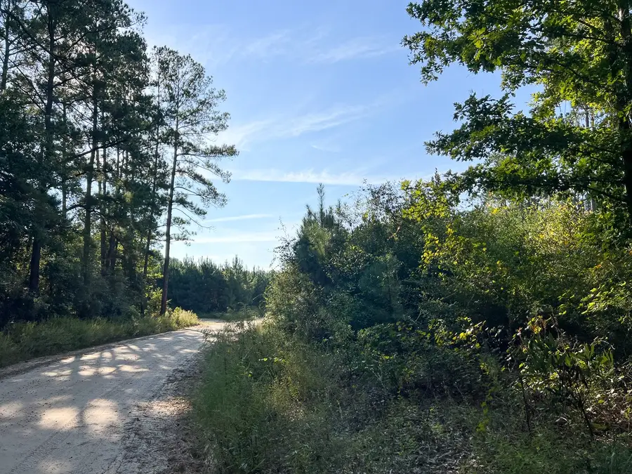 1 Dillon Road, Big Sandy, TX 75755 - #2