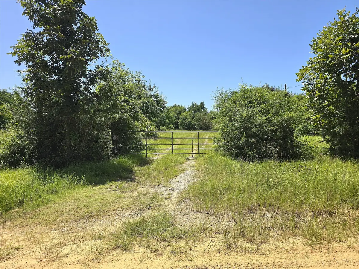 740 Ole Miss, Livingston, TX 77351 - #1