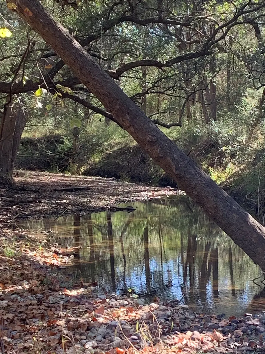 2551 Jurecka Road, Fayetteville, TX 78940 - #2