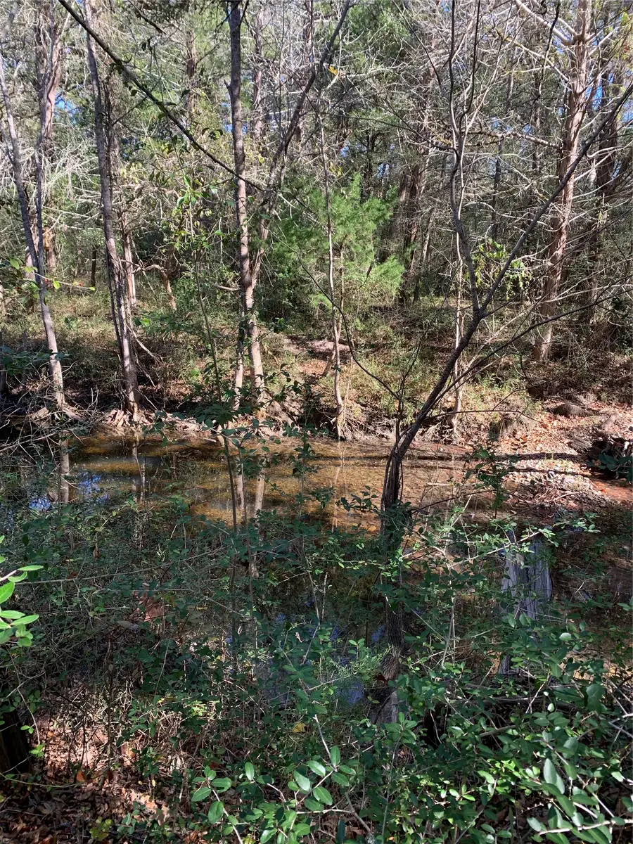 2551 Jurecka Road, Fayetteville, TX 78940 - #3