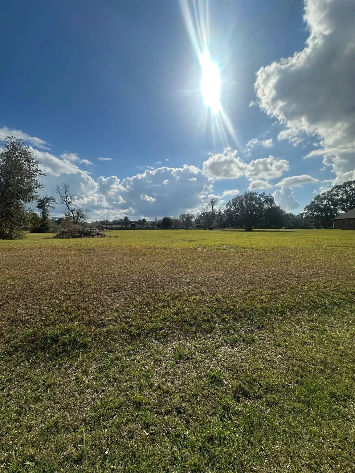 16827 Hamill Drive, Rosharon, TX 77583 - Image #1