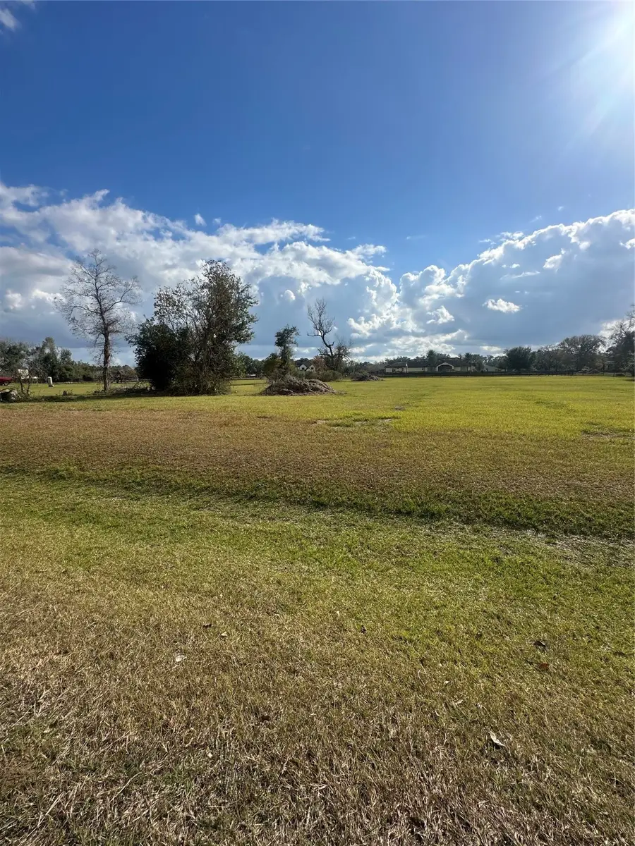 16827 Hamill Drive, Rosharon, TX 77583 - Image #3