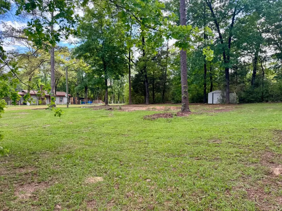 505 Ivanhoe Drive W, Woodville, TX 75979 - #3