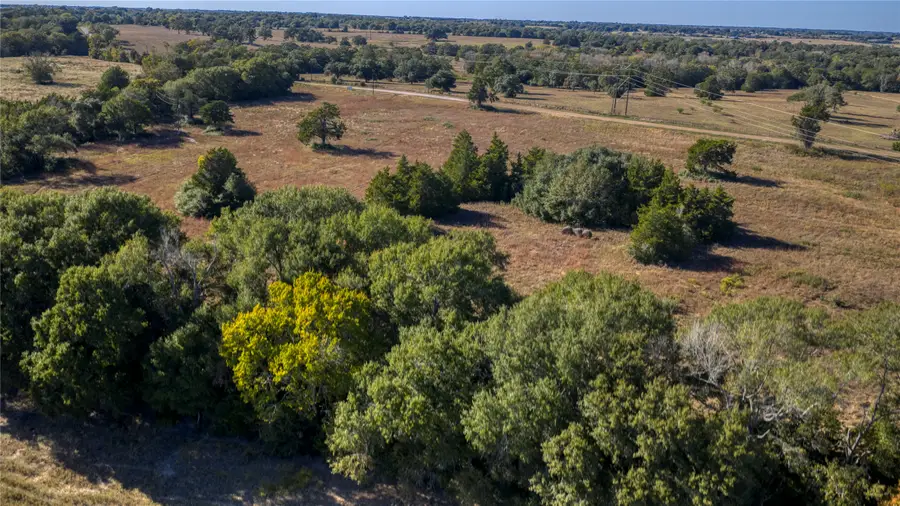 TBD-5 Greenvine Road, Brenham, TX 77833 - Image #3