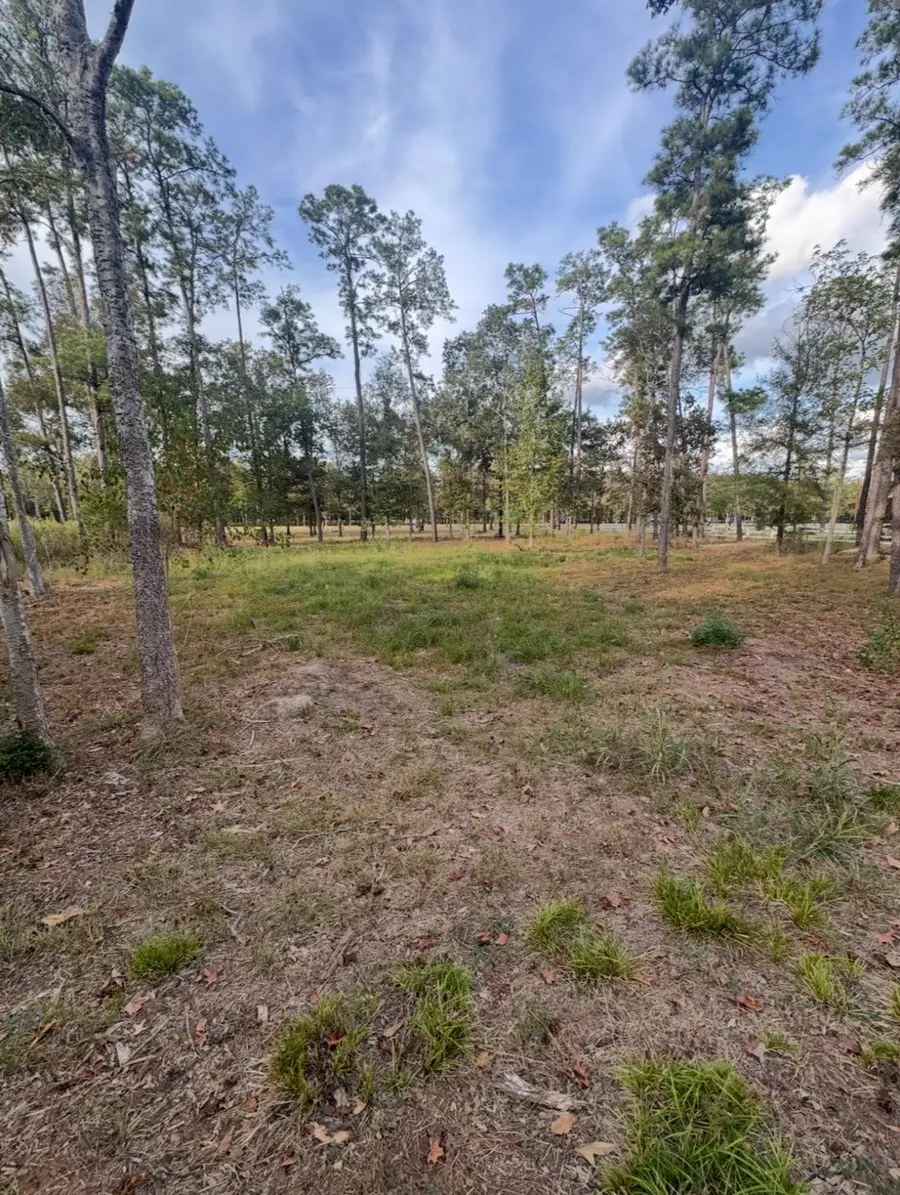 0 Echo Lane, Huffman, TX 77336 - Image #3