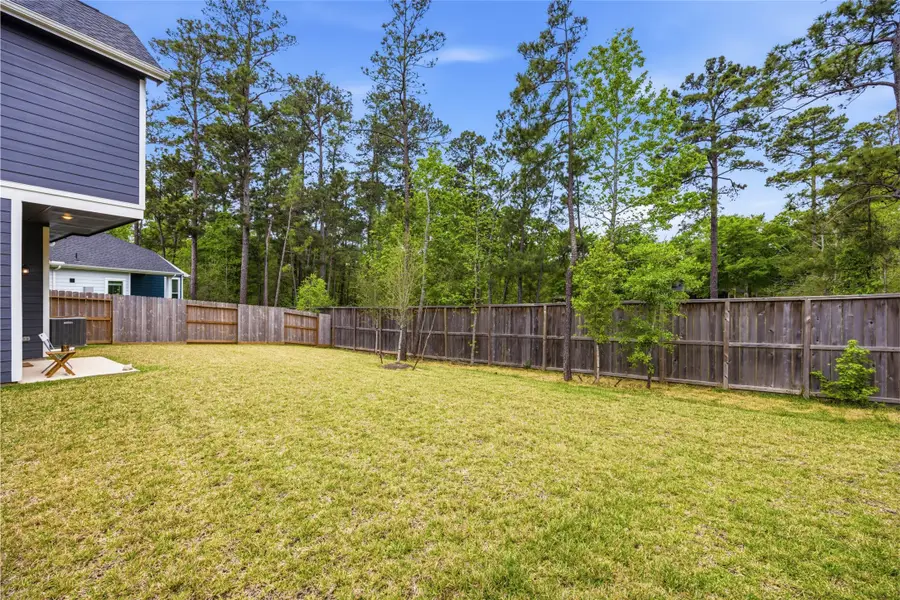 219 Prairie Rose Court, Willis, TX 77318 - #3