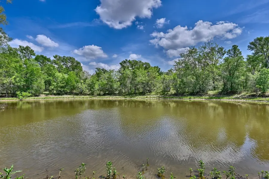 TBD Hollow Bend, Caldwell, TX 77836 - #3