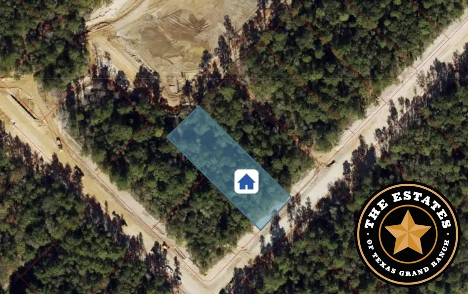 191 Hollow Hill Road, New Waverly, TX 77358 - #1