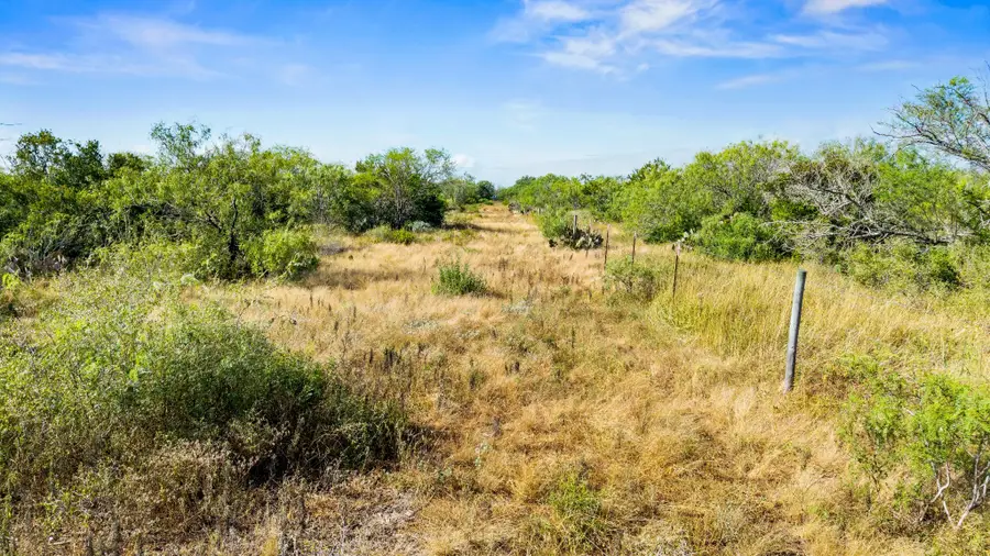 0 Broken Branch Trail, Alice, TX 78384 - #2