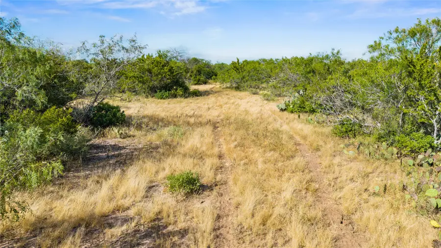 0 Broken Branch Trail, Alice, TX 78384 - #3