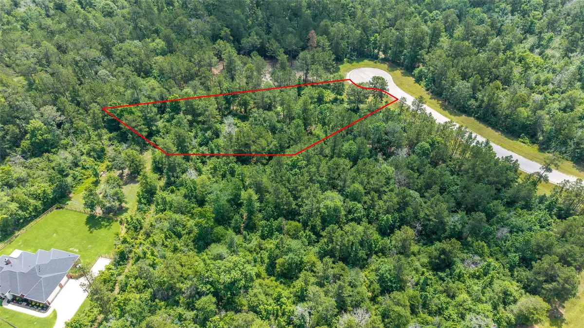 157 Iron Horse Road, New Waverly, TX 77378 - #1